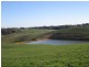 710 Springmount Road, Hindmarsh Tiers SA 5202