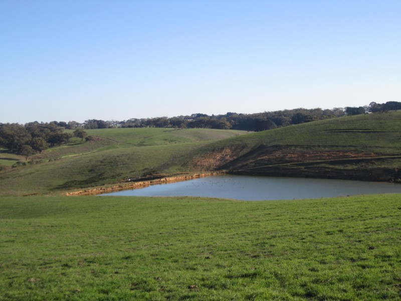 710 Springmount Road, Hindmarsh Tiers SA 5202