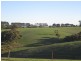 710 Springmount Road, Hindmarsh Tiers SA 5202