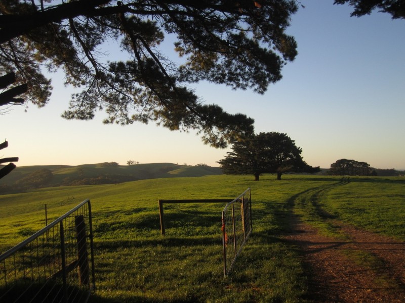 710 Springmount Road, Hindmarsh Tiers SA 5202