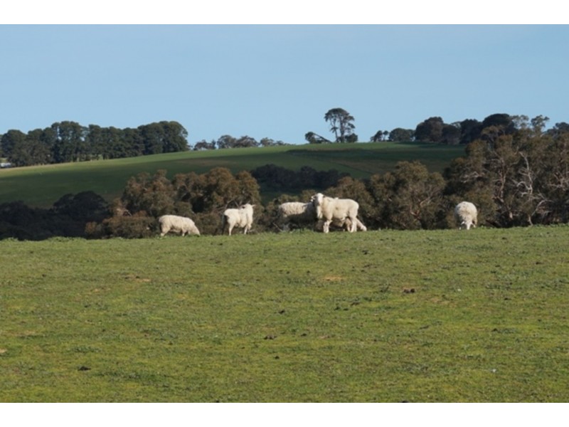 3510 Victor Harbor Road, Mount Jagged SA 5211