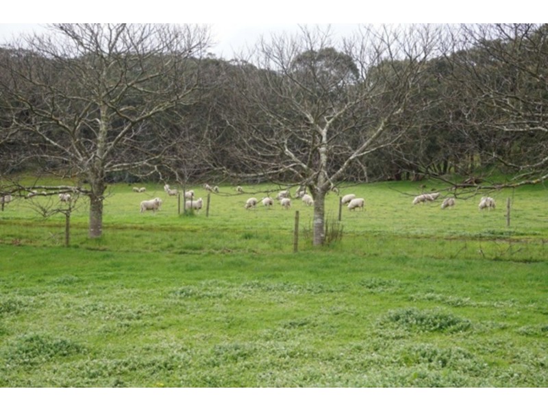 269 Proctor Road, Yundi SA 5172