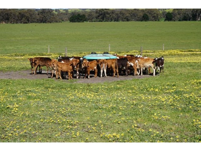 618 Deep Creek Road, Tooperang SA 5255