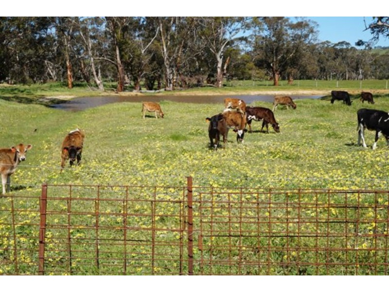 618 Deep Creek Road, Tooperang SA 5255