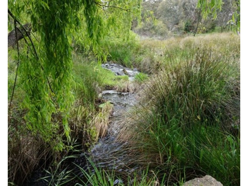 196 Cleland Gully Road, Mount Compass SA 5210