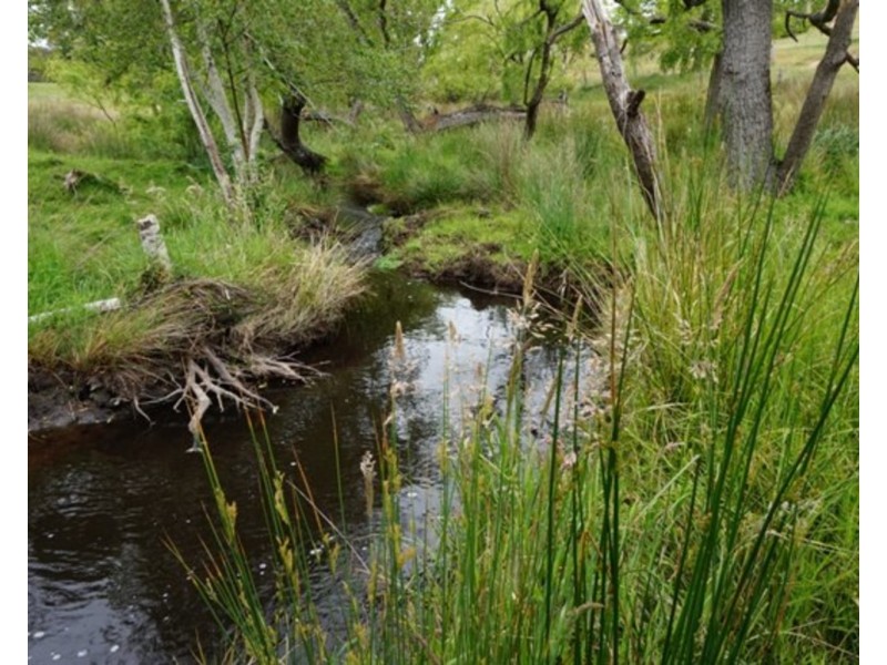 196 Cleland Gully Road, Mount Compass SA 5210