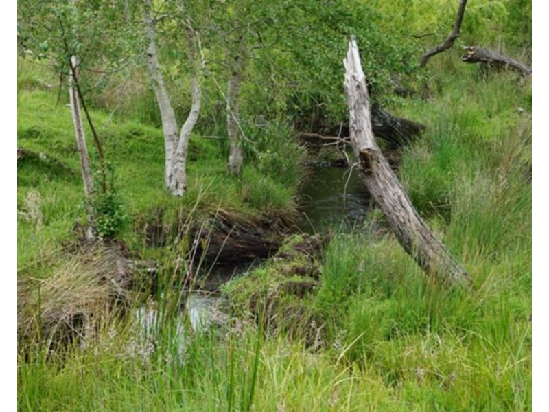 196 Cleland Gully Road, Mount Compass SA 5210