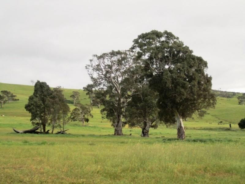 353 Cole Crossing Road, Mount Magnificent SA 5210