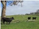 353 Cole Crossing Road, Mount Magnificent SA 5210