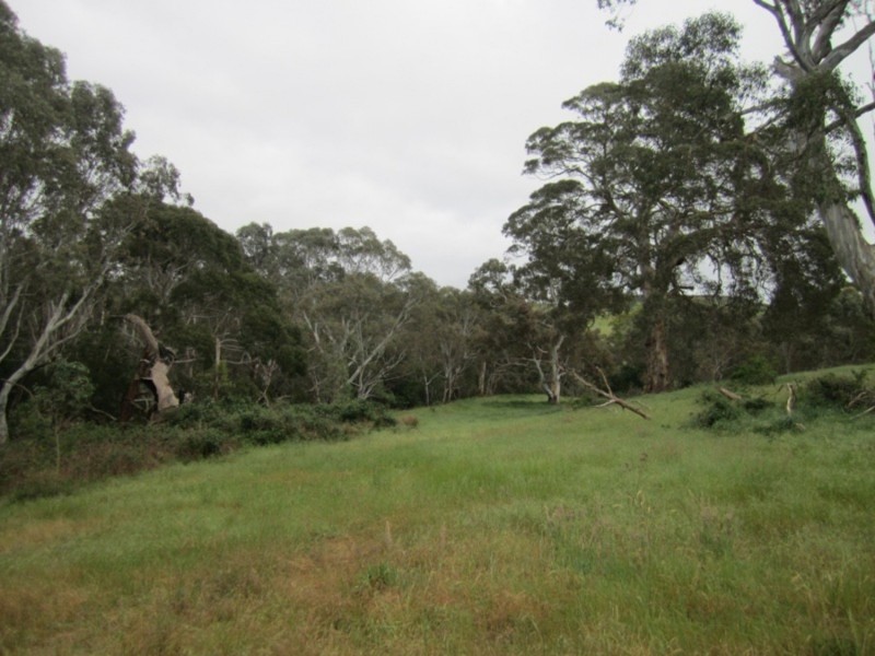 353 Cole Crossing Road, Mount Magnificent SA 5210