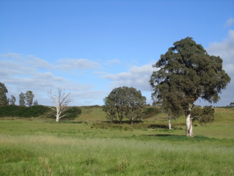 353 Cole Crossing Road, Mount Magnificent SA 5210