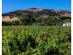 409 Plains Road, Sellicks Hill SA 5174