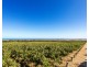 409 Plains Road, Sellicks Hill SA 5174