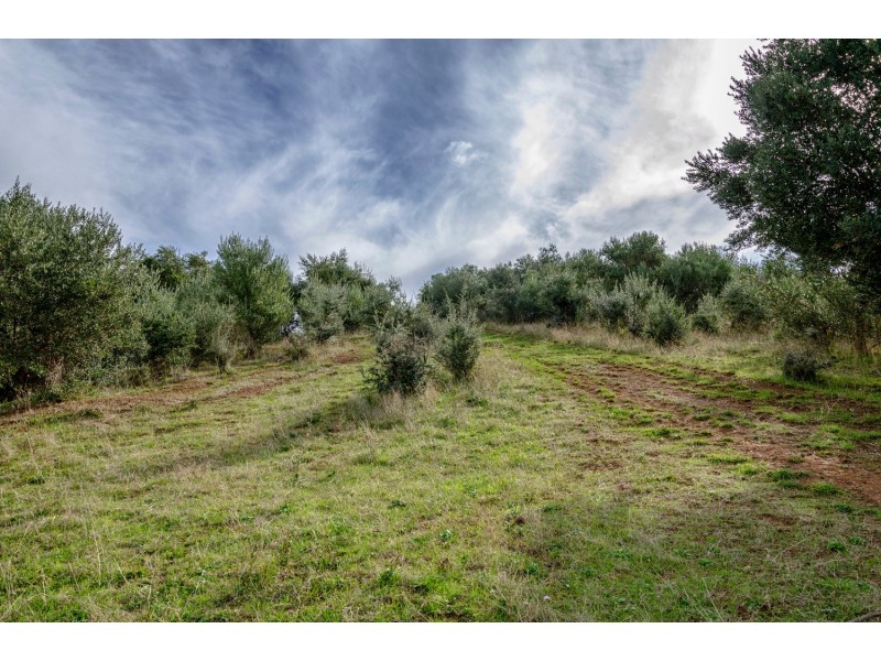 322 Clarendon Road, Clarendon SA 5157