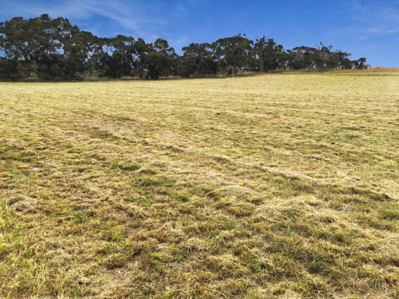 Lot 201 Gould Road, Currency Creek SA 5214