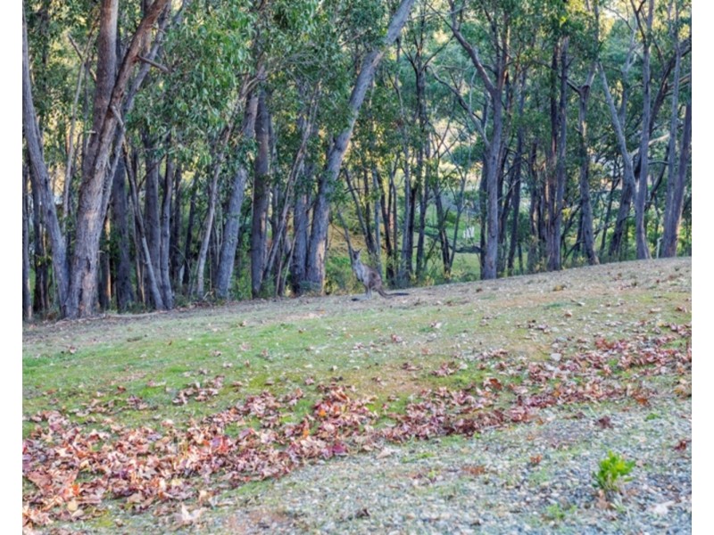 19 Nioka Drive, Ironbank SA 5153