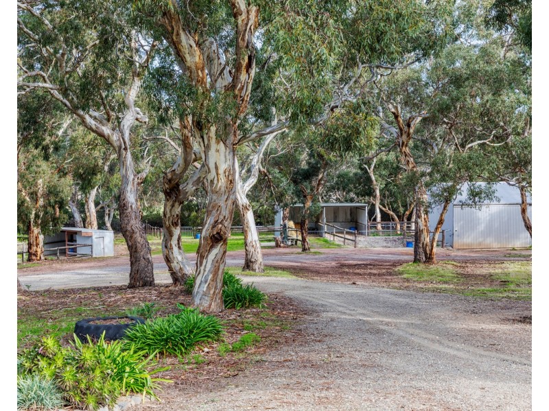 925 Goolwa Road, Mosquito Hill SA 5214