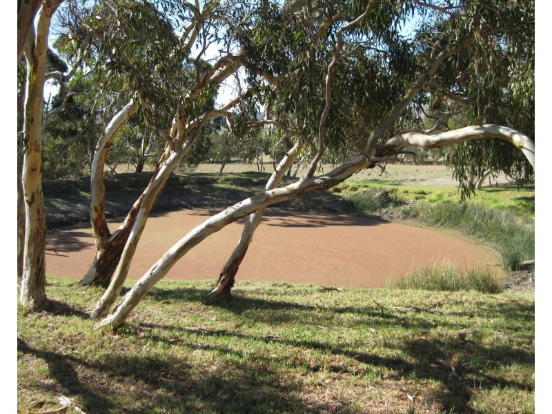 896 Cleland Gully Road, Tooperang SA 5255