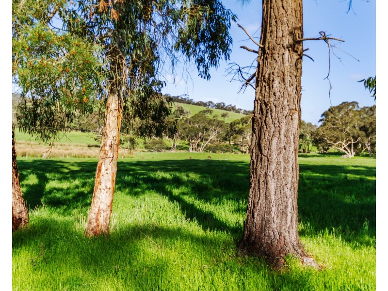 173 Proctor Road, Hope Forest SA 5172