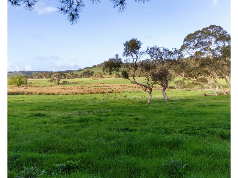 173 Proctor Road, Hope Forest SA 5172
