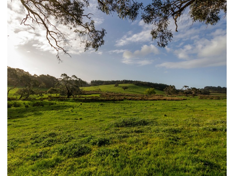 173 Proctor Road, Hope Forest SA 5172