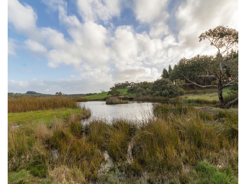 173 Proctor Road, Hope Forest SA 5172