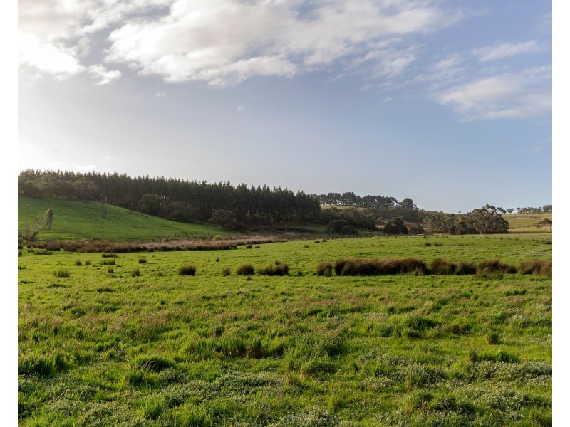 173 Proctor Road, Hope Forest SA 5172