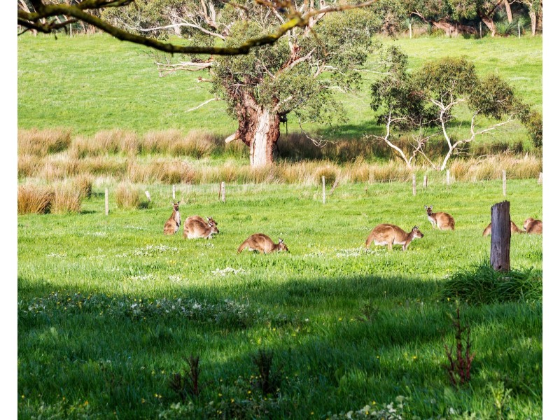 173 Proctor Road, Hope Forest SA 5172