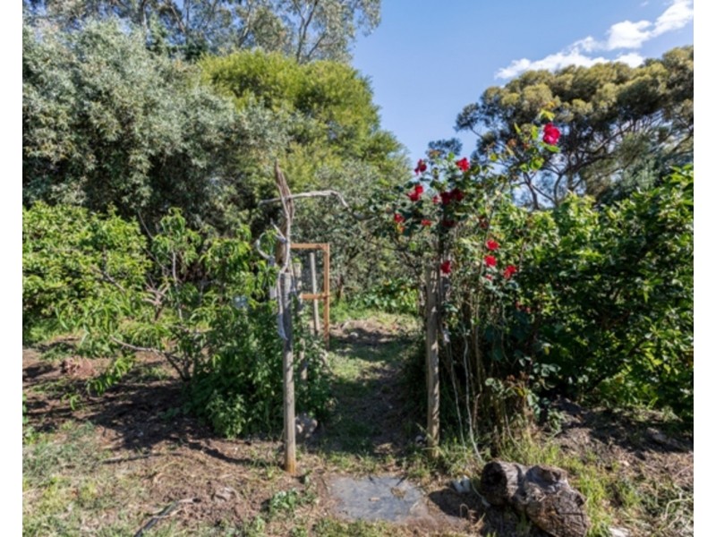 32 St Andrews Terrace, Willunga SA 5172