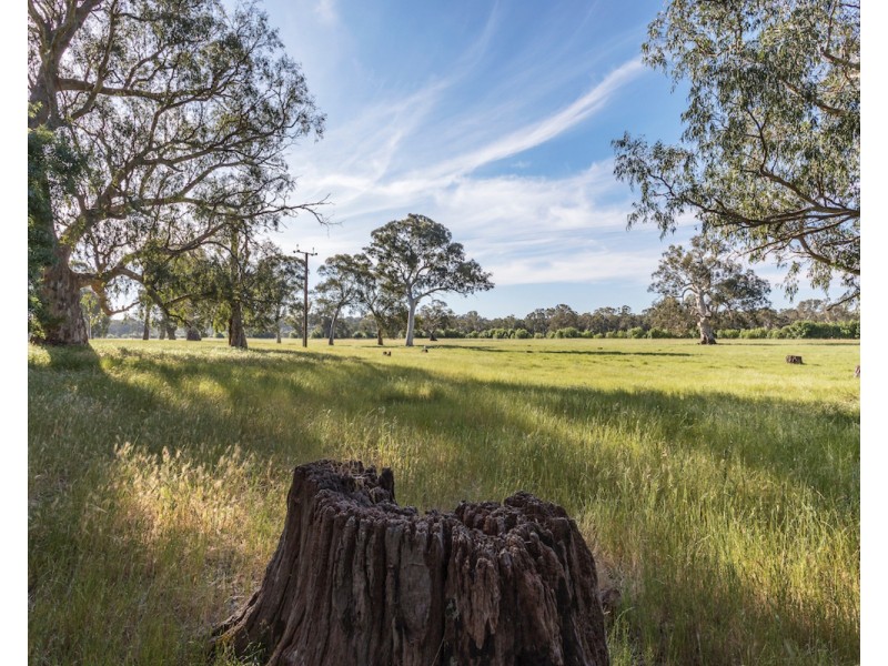 965 McLaren Flat Road, Kangarilla SA 5157