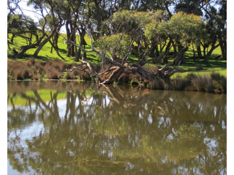 234 Trig Point Road, Myponga SA 5202