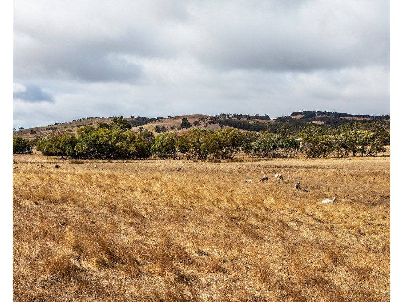 1330 Hindmarsh Tiers Road, Hindmarsh Tiers SA 5202