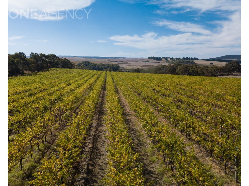 963 Cleland Gully Road, Tooperang SA 5255