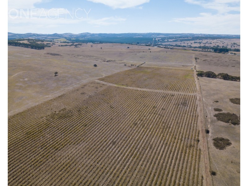 963 Cleland Gully Road, Tooperang SA 5255