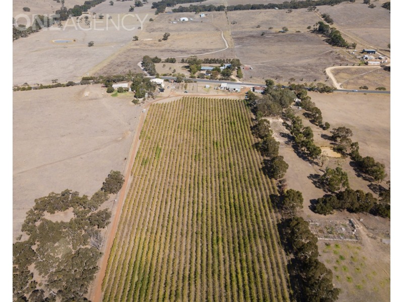 963 Cleland Gully Road, Tooperang SA 5255