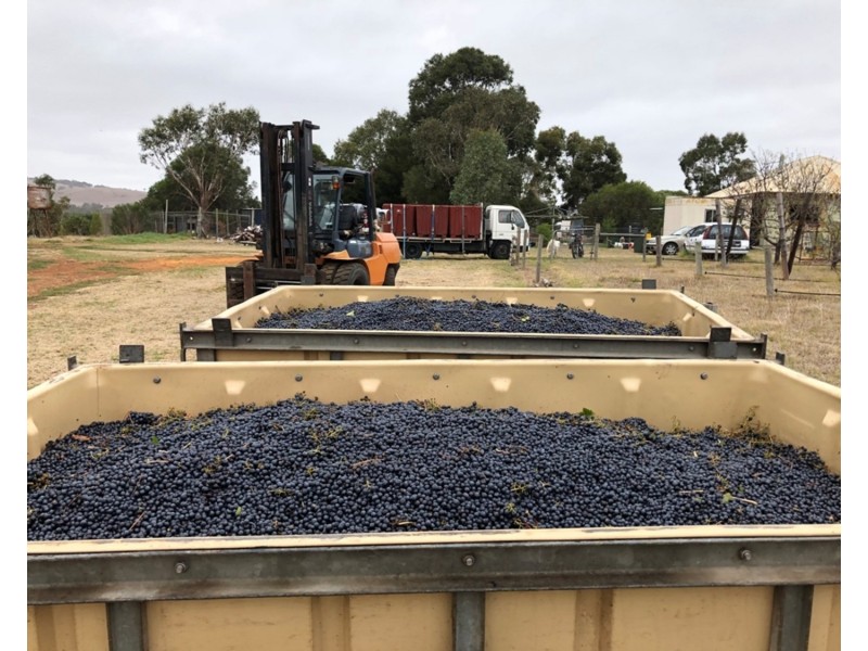 963 Cleland Gully Road, Tooperang SA 5255