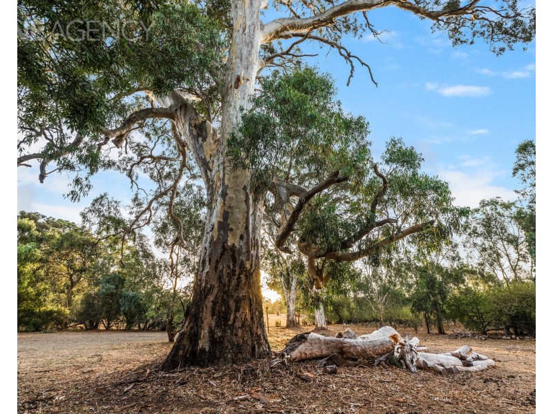 985 McLaren Flat Road, Kangarilla SA 5157