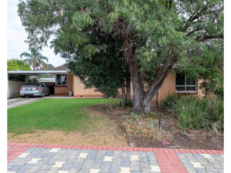 24 Finniss Street, Marion SA 5043