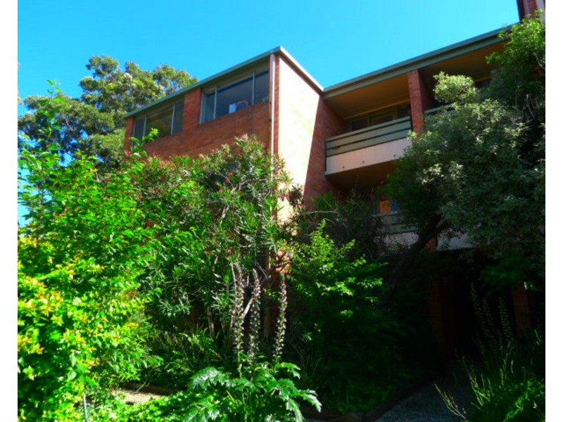 8/348 Dryburgh Street, North Melbourne VIC 3051