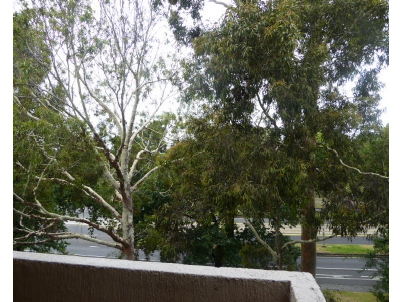 10/521 Royal Parade, Parkville VIC 3052