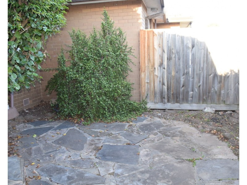 8/239 Burke Road, Glen Iris VIC 3146