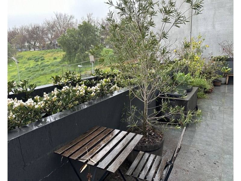 113/108 Haines Street, North Melbourne VIC 3051