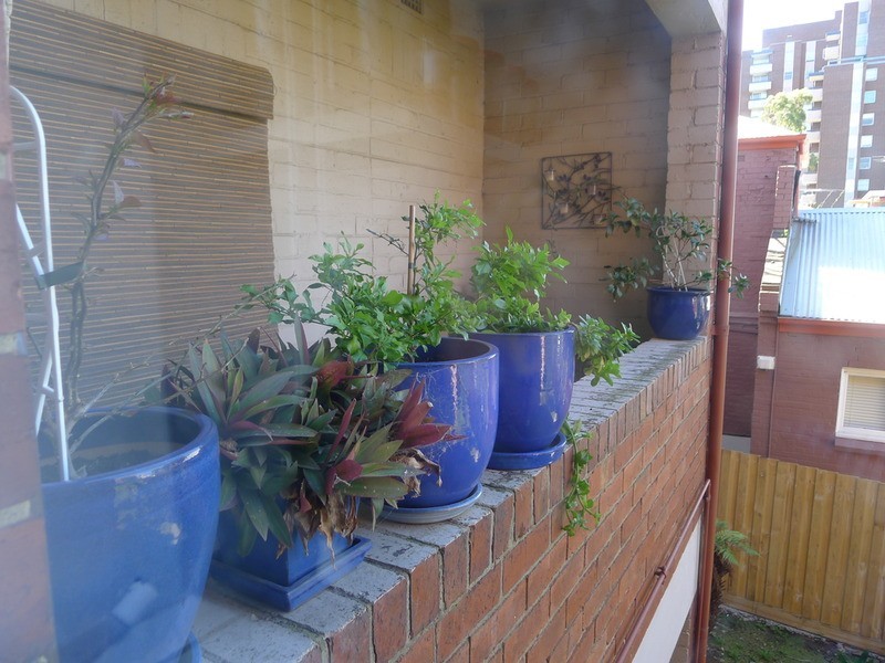 11/205 Flemington Road, North Melbourne VIC 3051