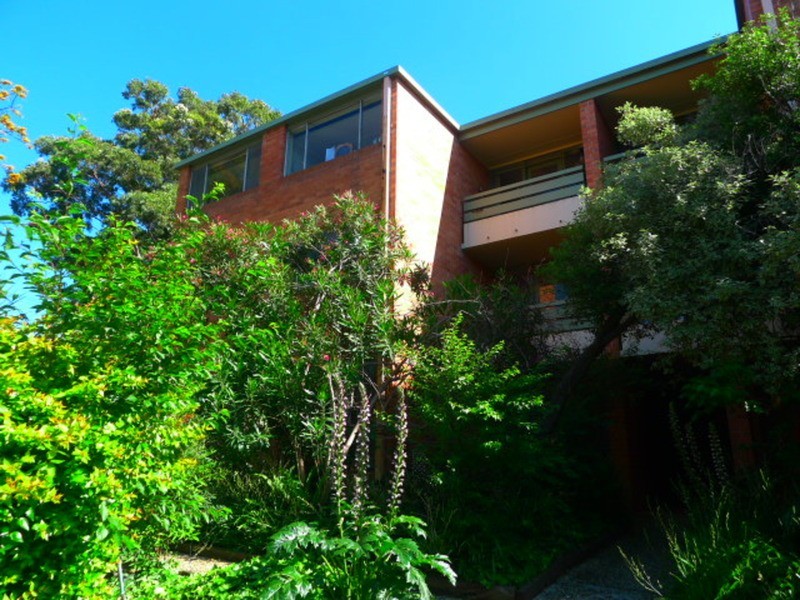 8/348 Dryburgh Street, North Melbourne VIC 3051