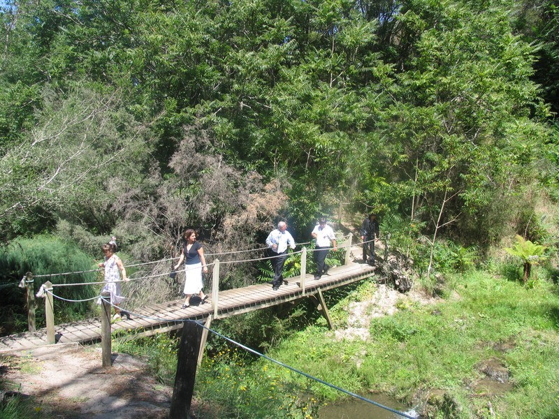 Dartmoor VIC 3304