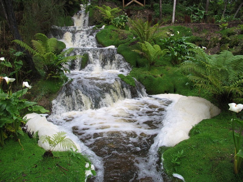 Dartmoor VIC 3304