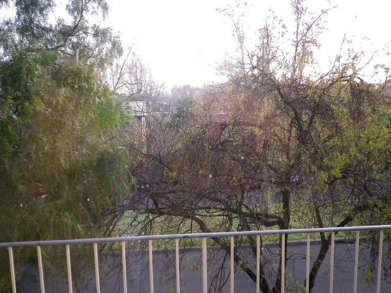 F1-6/97 O’Shanassy Street, North Melbourne VIC 3051