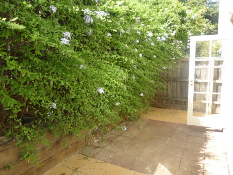 17/38 Chapman Street, North Melbourne VIC 3051