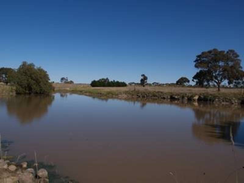 445 Lancefield Road, Sunbury VIC 3429