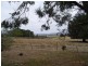 32 Mullalys Road, Romsey VIC 3434
